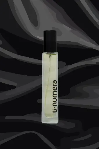 Parfum Sombre - H - 50 ml