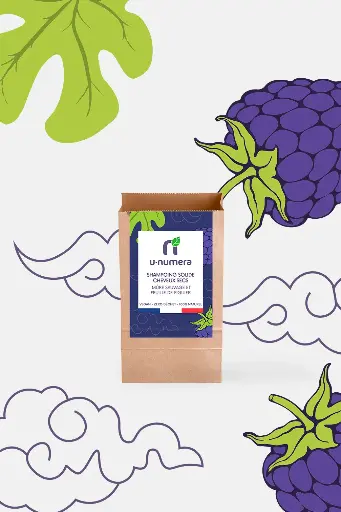 Shampoing solide - Cheveux secs